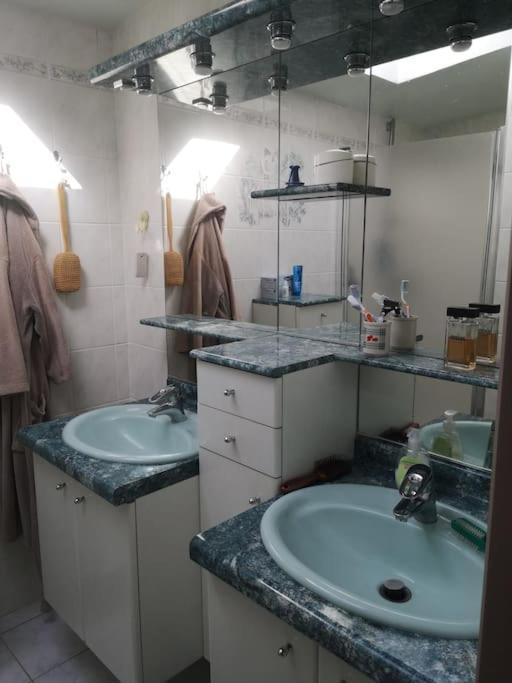 La Porte Bleue Holiday home Vouneuil-sous-Biard